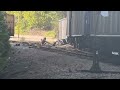 Train derailment in Conway