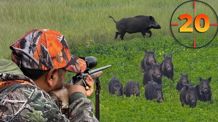650M Incredible Hunting - TOP 20 LONG RANGE WILD BOAR SHOTS | Hog Hunting