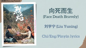 向死而生 (Face Death Bravely) - 刘宇宁 (Liu Yuning)《武庚纪 Burning Flames》Chi/Eng/Pinyin lyrics