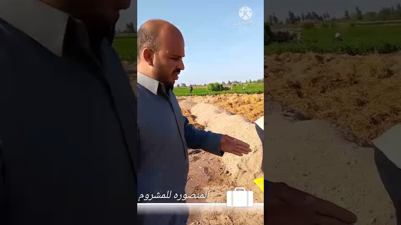 طريقة تحويل قش الغله ايلا كمبوست المشروم