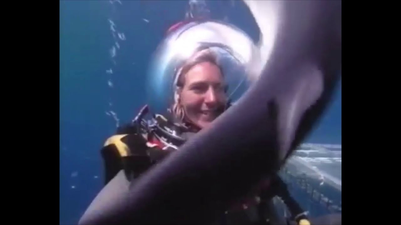 Aquanaut Helmet Shark Diver - TV presenter with scuba diving helmet and chain mail over a drysuit or wetsuit.