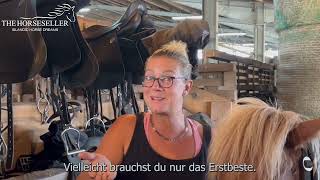 Die 5 größten Fehler beim Pferdekauf -  Islandpferde Verkauf Thehorseseller Youtube