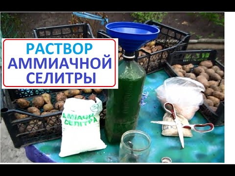 Раствор АММИАЧНОЙ СЕЛИТРЫ для подкормки растений - YouTube