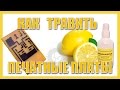 Как травить платы? (Подробно)