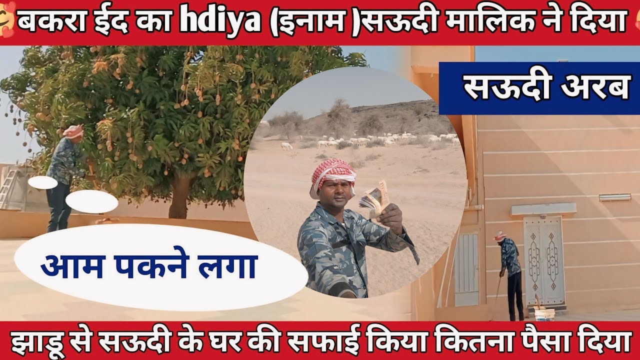 बकरा ईद का हदिया ( इनाम gift ) मालिक ने दिया!majra worker life!goat worker!daily vlogs!Rsgya Vlogs