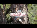 يا مالك كل سنيني كاملة