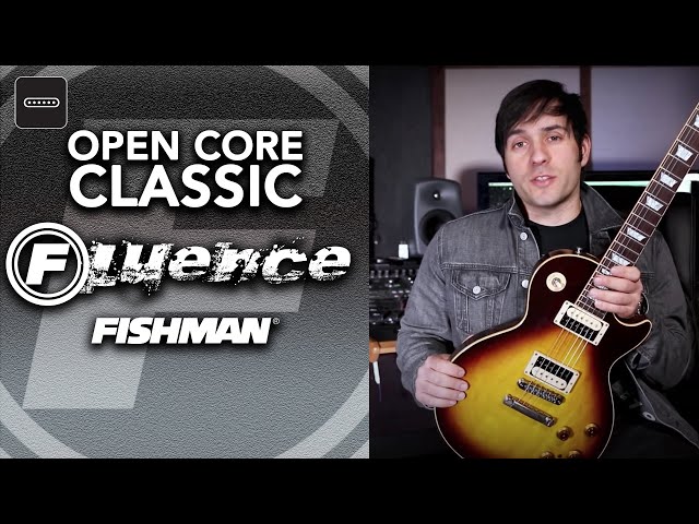 Комплект звукоснимателей Fishman PRF-COC-SZ2