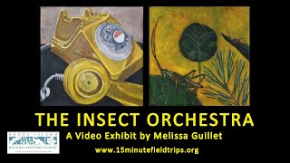 The Insect Orchestra by Melissa Guillet