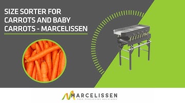 Size Sorter for Carrots and Baby Carrots - Marcelissen