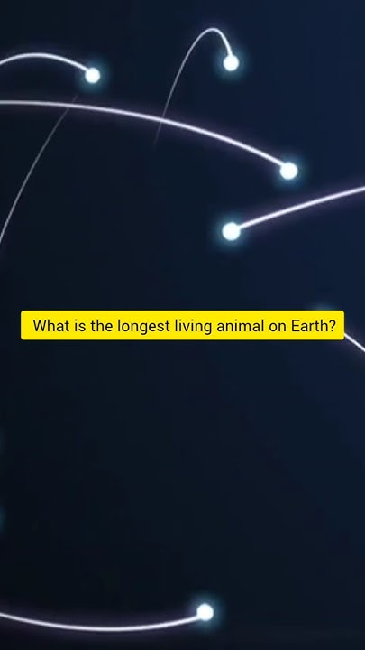 what-is-the-longest-living-animal-on-earth-shorts-youtube