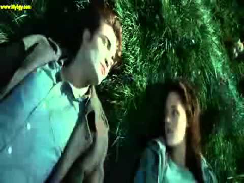 رامي جمال ناديلي