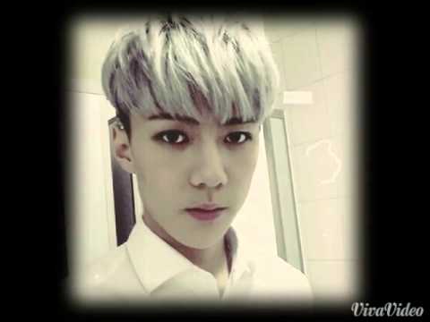 신청)세훈(EXO) 영상