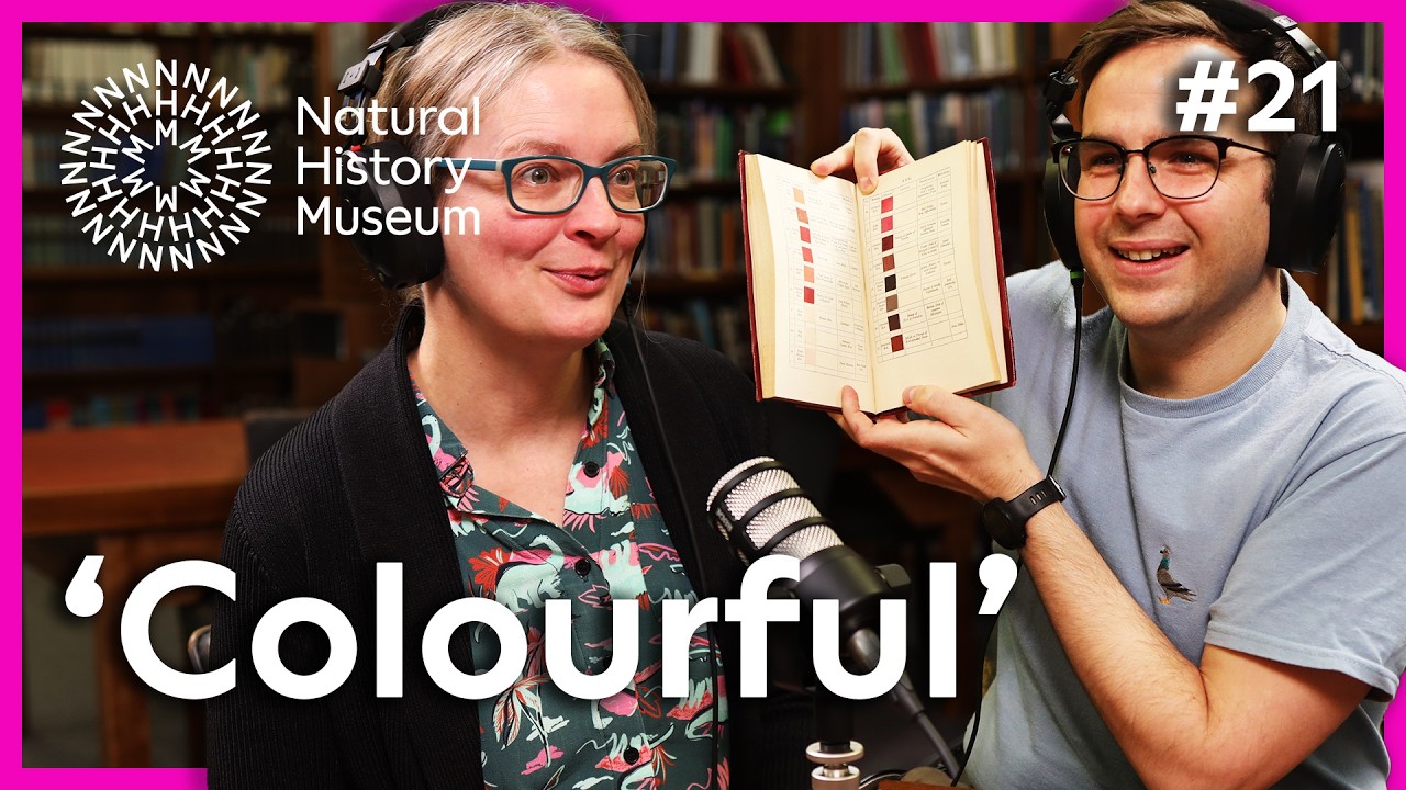 Джош задает нам вопросы о цветах природы | «Идеальный» экземпляр, эпизод 21