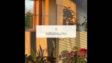 #آيات #الله #تلاوة #حالات #قرآن #قران_كريم #إذكروني_بدعوة #راحة_نفسية #اذكار #اكسبلور 🧡🧡🧡