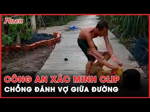 Video: Người phụ nữ quẫn trí sau khi chú chó hỗ trợ bị đánh cắp ngay trước mặt cô