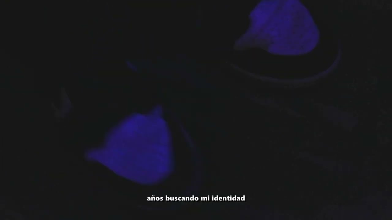 Años Perdidos - Zesteros (Visualizer + Lyrics)