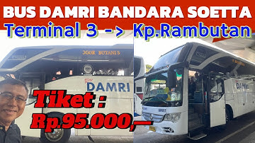 NAIK BUS DAMRI DARI TERMINAL 3 SOETTA KE KAMPUNG RAMBUTAN; BEGINI CARANYA⁉️
