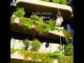 Excellence in Urban Gardens