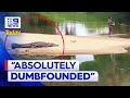 Footage of man fishing metres away from crocodile in cairns  9 news australia