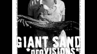 Video thumbnail of "Giant Sand - Without a Word"