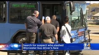Bus driver slashed in Worcester