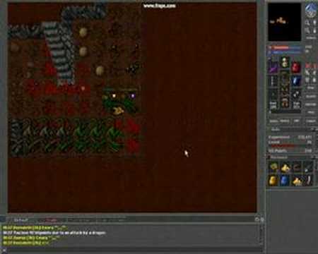 Donnaloths Tibia Life