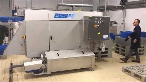 Pallet washer PW 250.100 by Triplelima bv