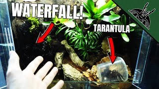 I made a WATERFALL for my TARANTULA!