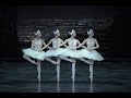 新国立劇場バレエ団『白鳥の湖』第2幕より 4羽の白鳥の娘たち Swan Lake - Dance of the cygnets (National Ballet of Japan)