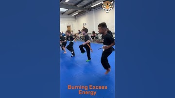 🐯 Could your little one turn boundless energy into strength and confidence?