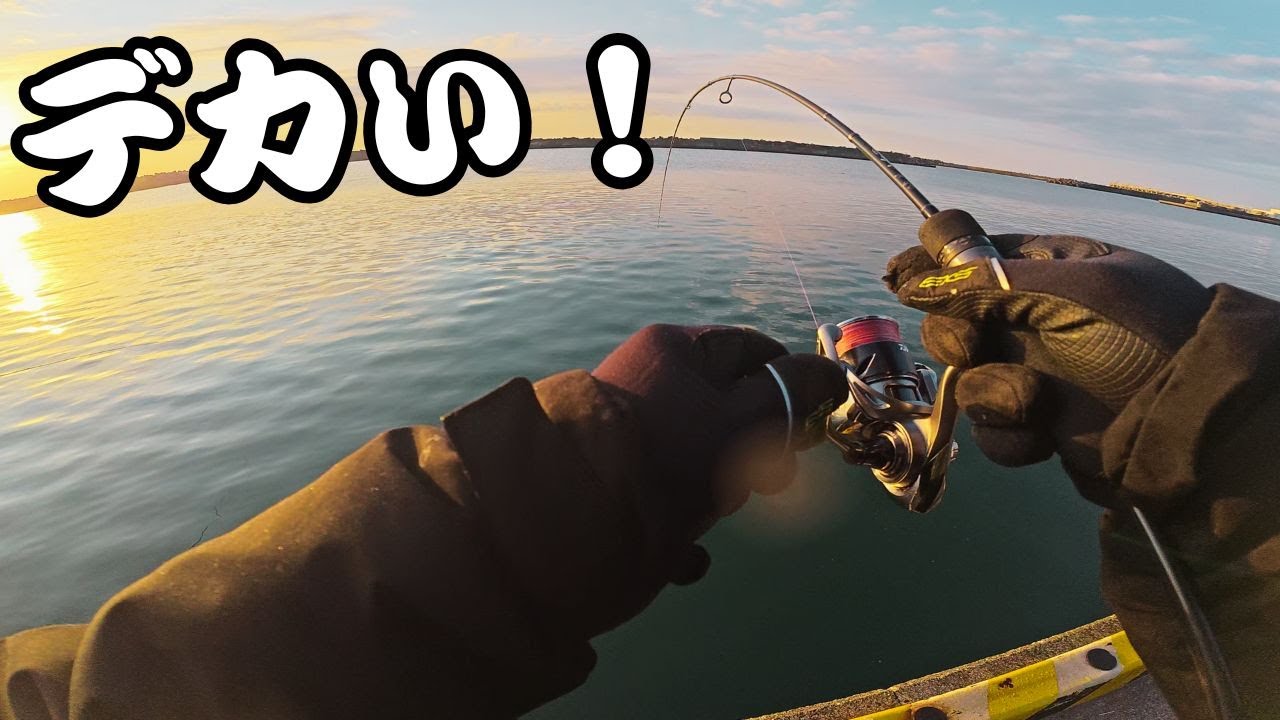 【アジング】冬の漁港でライトゲームしたら魚が入れ食いモード