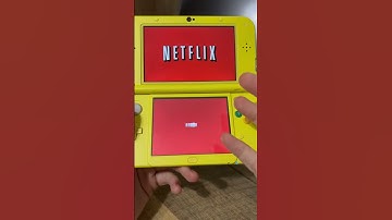 Netflix On A 3DS
