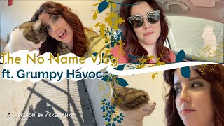 The Nameless Non-reading Reading Vlog // ft. Grumpy Havoc @NovelSarahndipity
