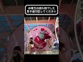 水曜日お疲れ様でした。世の男性達、少しは遠慮してください #violin #techno #music #soundtrack #phonkagressive #funny