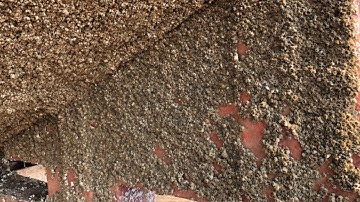 whale rescue? No! barnacles removal, remove barnacles from boats - asmr no talking