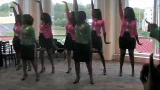 Alpha Sigma Chapter of Alpha Kappa Alpha Sp2010 Chapter Presentation