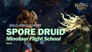 [Act 1] Solo Druid - The Minotaur Incident - Honour Mode