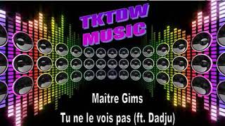Maître Gims - Tu Ne Le Vois Pas Ft. Dadju 