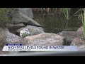 High PFAS levels found in Maryland water