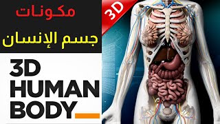 مكونات جسم الانسان  Human body 3D