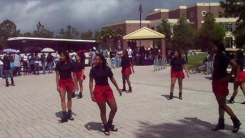 UCF Delta Sigma Theta Yard Show 08 (PART 2)