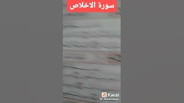 القرآن الكريم ربيع القلوب