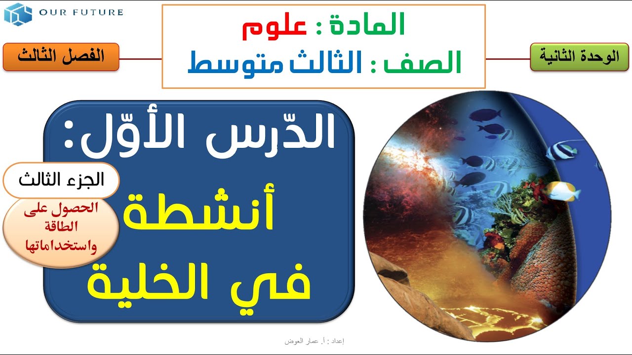 أنشطة في الخلية - الجزء 3من3 علوم ثالث متوسط