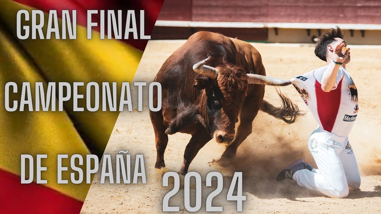 4K GRAN FINAL CAMPEONATO DE ESPAÑA DE RECORTADORES CON TOROS BRAVOS 2024 (CASTELLÓN)