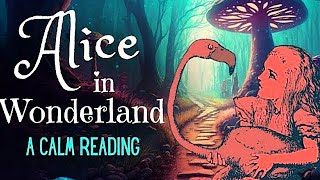 Reading of Alice in Wonderland - full audiobook - Story Reading for Sleep - Relaxing Reading screenshot 5