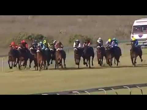 Closing Stages Paddock Stakes - YouTube