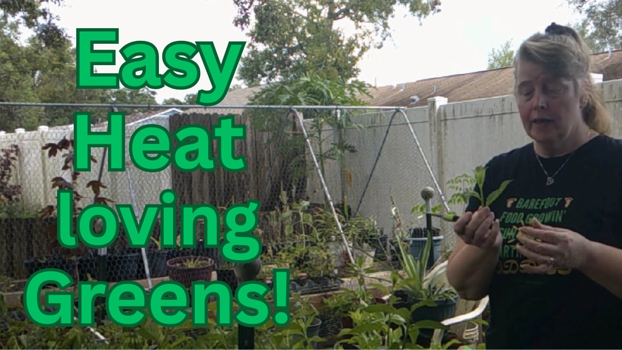 Grow a Perennial Superfood: Longevity Spinach (All You Need to Know) | Suburban Life Permaculture