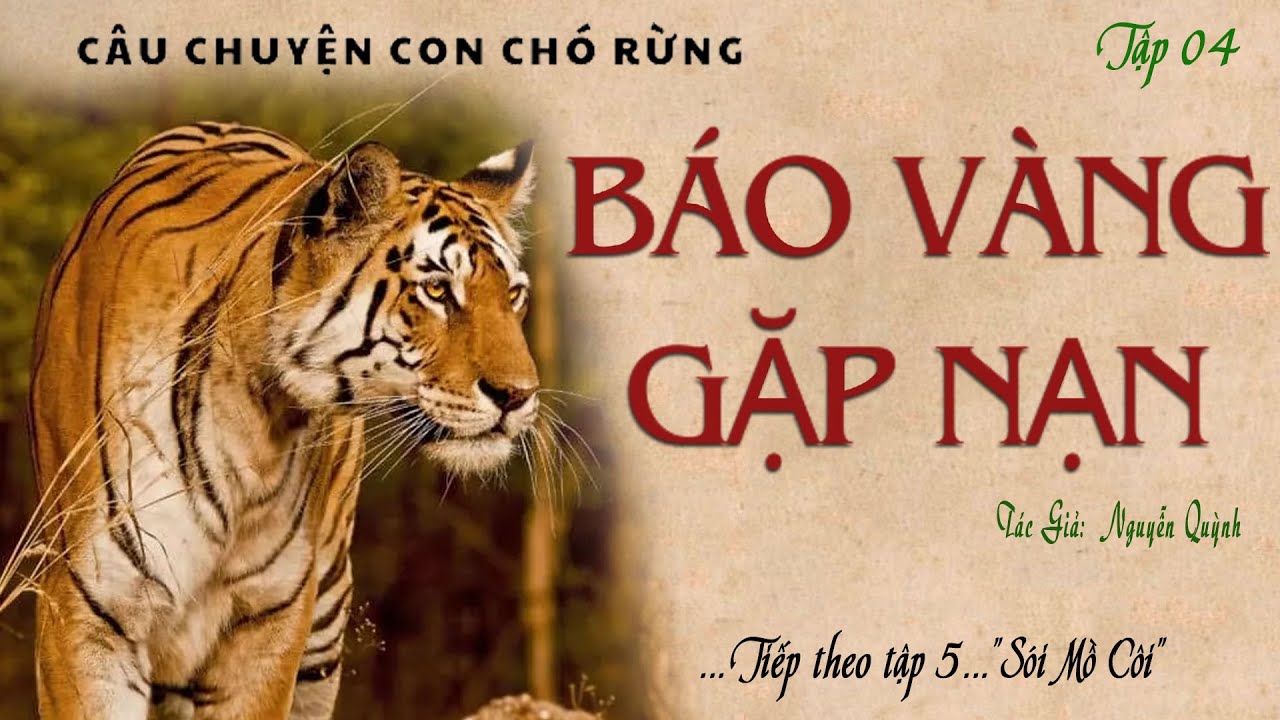 Truyện Dài Con Chó Rừng Tập 04: BÁO VÀNG GẶP NẠN | Nguyễn Quỳnh | Kênh ...