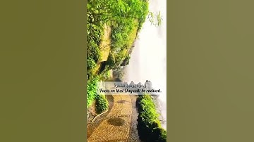 سورة عبس من الآية (٣٣) إلي الآية (٤٢) بصوت القارئ إسلام صبحي