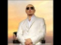 Pitbull vs joey moe  i know you want me  the yoyo remix hq 2009avi